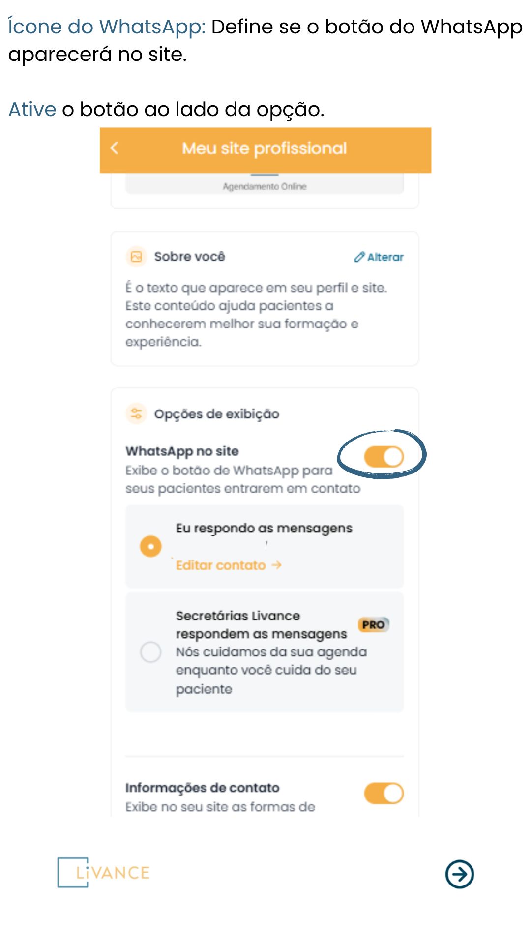 personalizar_site_9.jpg